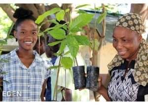 Mehr über den Artikel erfahren Unsere Zusammenarbeit mit Eden Reforestation Projects: Vanille genießen und Bäume pflanzen