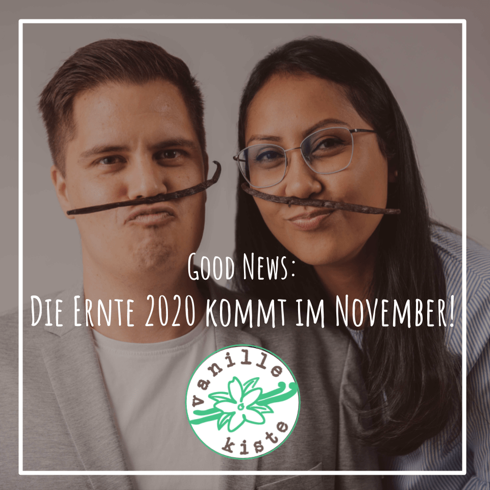 Sie betrachten gerade Ernte 2020 ab November im Webshop