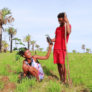 Read more about the article Unsere Kunden haben bereits mehr als 30.000 Bäume auf Madagaskar angepflanzt!